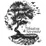 Shiatsu & Sérénité